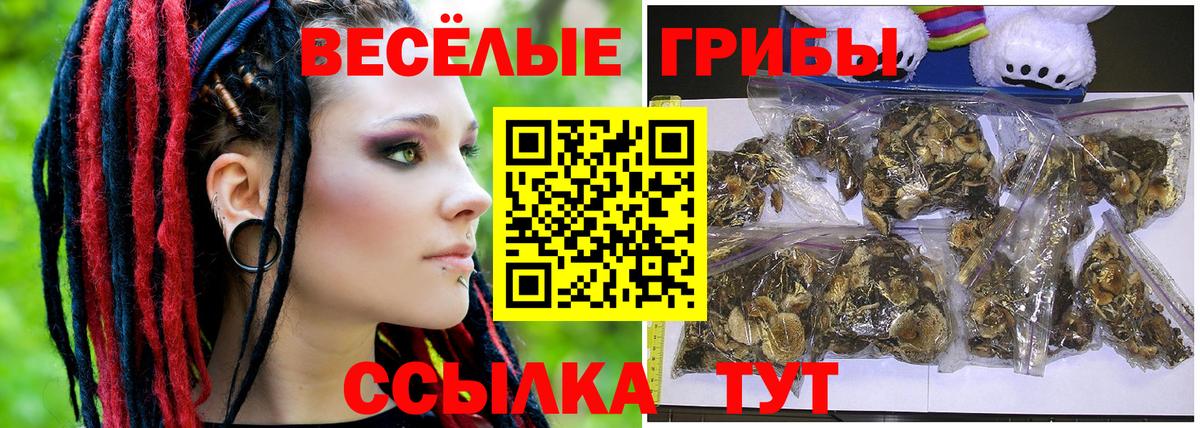 Петрозаводск  Галлюциногенные грибы мицелий  Вход с VPN 