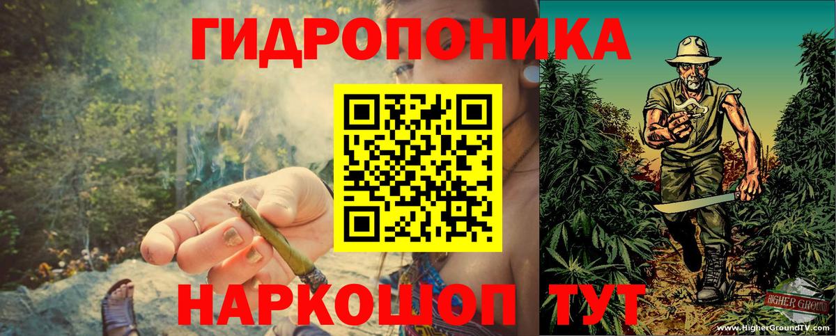 Петрозаводск  Бошки марихуана Bruce Banner  Вход с VPN  Канабис Amnesia 